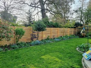 Siberian Larch Fencing