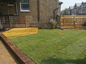 Lawn & Deck