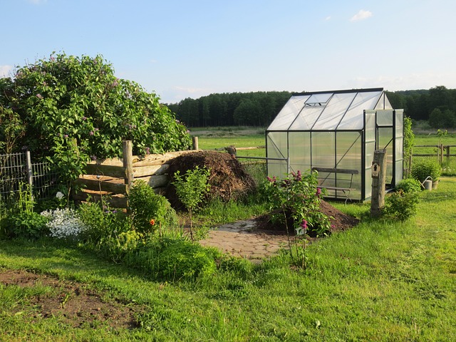 Greenhouse in garden